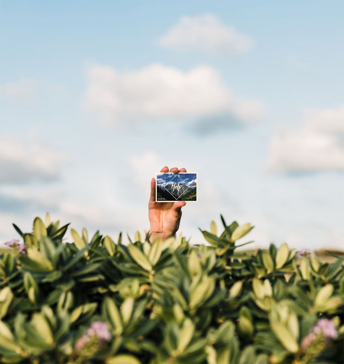 A hand behind a bush holds up the aid tract. You can see the front with the words “Help.”