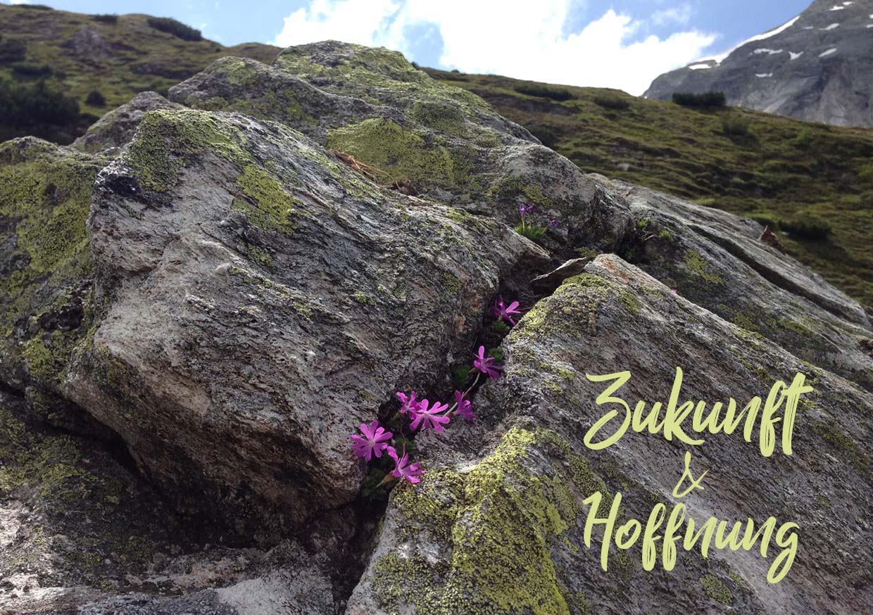 Nahaufnahme eines Berghanges mit Moos und pinken Blumen. Rechts unten steht der Schriftzug "Zukunft und Rettung."