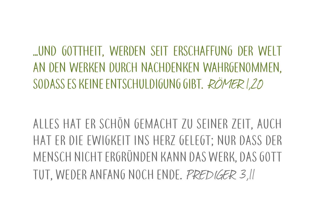 Zwei Bibelverse. Römer 1 Vers 20: "...und Gottheit, werden seit Erschaffung der Welt an den Werken durch Nachdenken wahrgenommen, sodass es keine Entschuldigung gibt." Und Prediger 3 Vers 11: "Alles hat er schön gemacht zu seiner Zeit, auch hat er die Ewigkeit ins Herz gelegt; nur dass der Mensch nicht ergründen kann das Werk, das Gott tut, weder Anfang noch Ende."