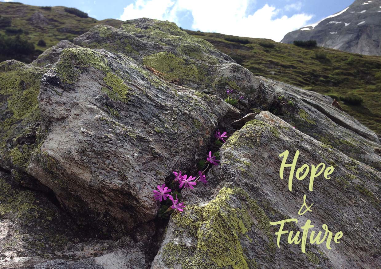 Close-up of a mountain slope with moss and pink flowers. At the bottom right is the lettering “Hope and Future.”